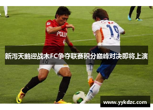 新泻天鹅迎战木FC争夺联赛积分巅峰对决即将上演